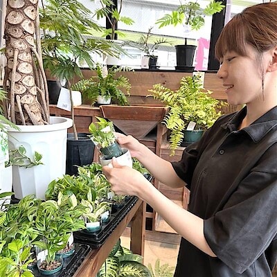 【板橋南町22】土を使わないハイドロカルチャーでグリーンのある暮らしを始めませんか？