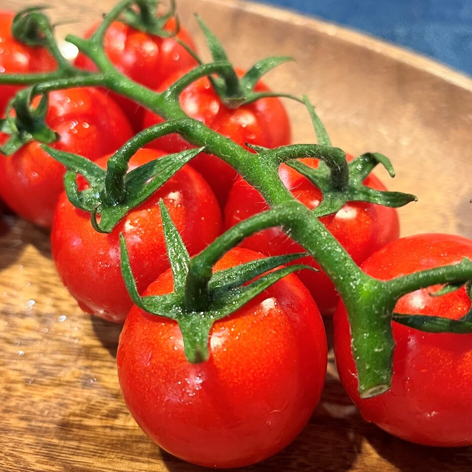 【ヨシヅヤ津島本店】房どれミニトマトが帰ってきました