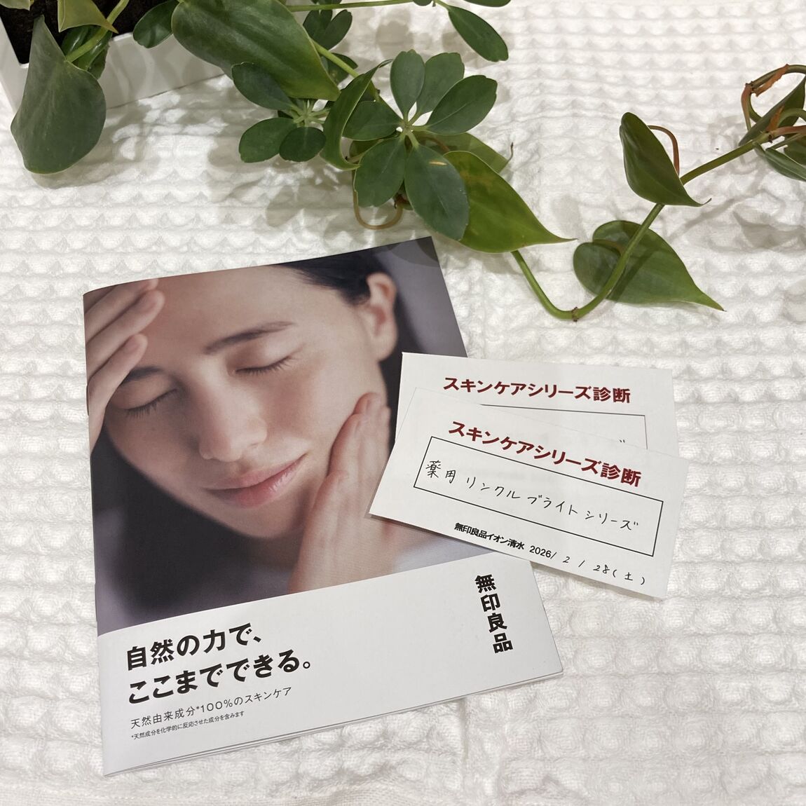 ｓｈａｓｉｎｎ