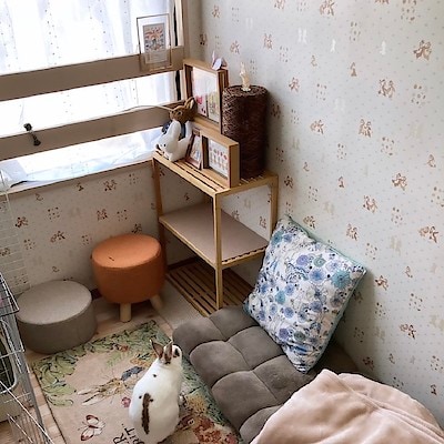 【イオン天王町】うさぎのキャットタワー