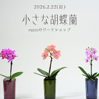 【阪急西宮ガーデンズ】小さな胡蝶蘭rantoのワークショップ