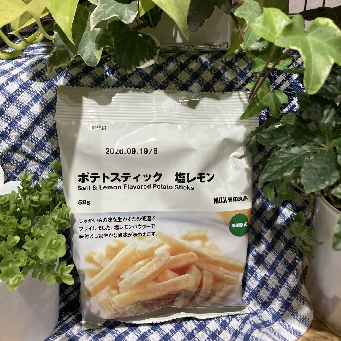 ポテトスティック　塩レモン