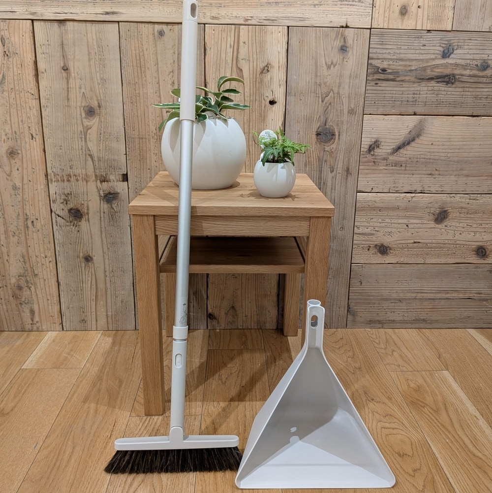 ほうきとちりとり