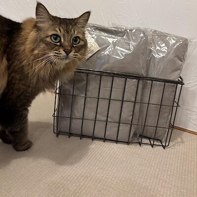 【宮古】11月14日オープン／丸洗いできる　ペット用ミニクッション