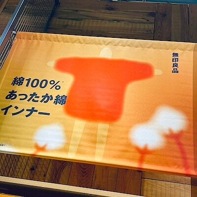 【宮古】これからの寒い時期におすすめ ポカポカあったか綿ご紹介