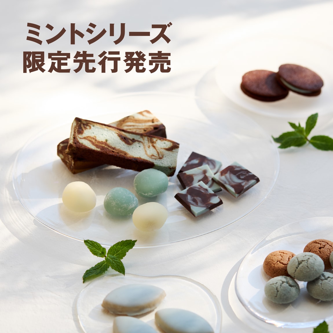 イオンモール橿原】4/10(金)～「ミントシリーズ」一部先行発売の