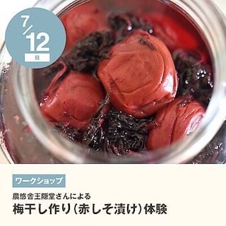 【イオンモール橿原】梅干し作り(赤しそ漬け)体験｜ワークショップのお知らせ