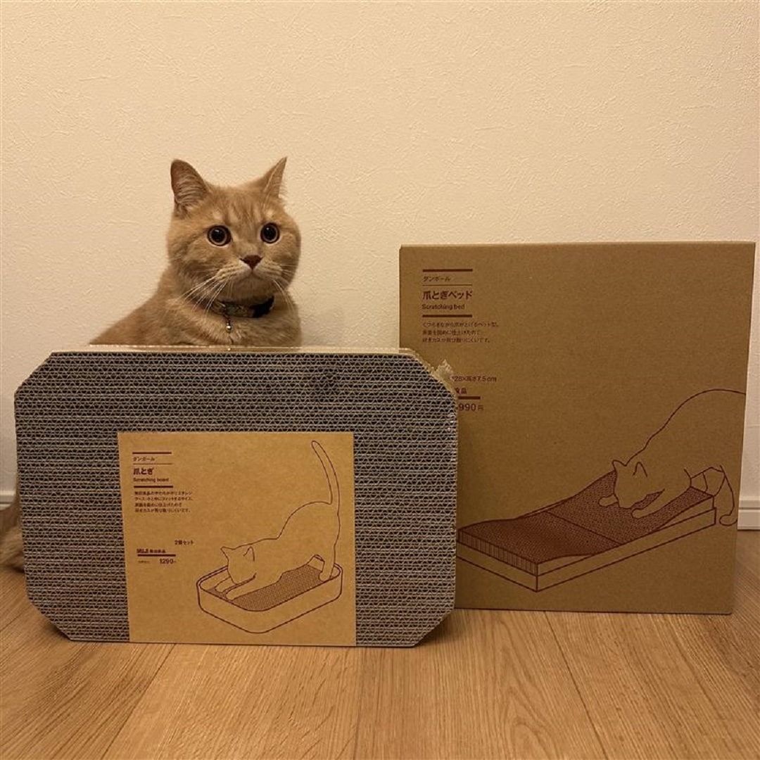 【イオンレイクタウンmori】猫用グッズ