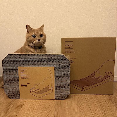 【イオンレイクタウンmori】猫用グッズのご紹介