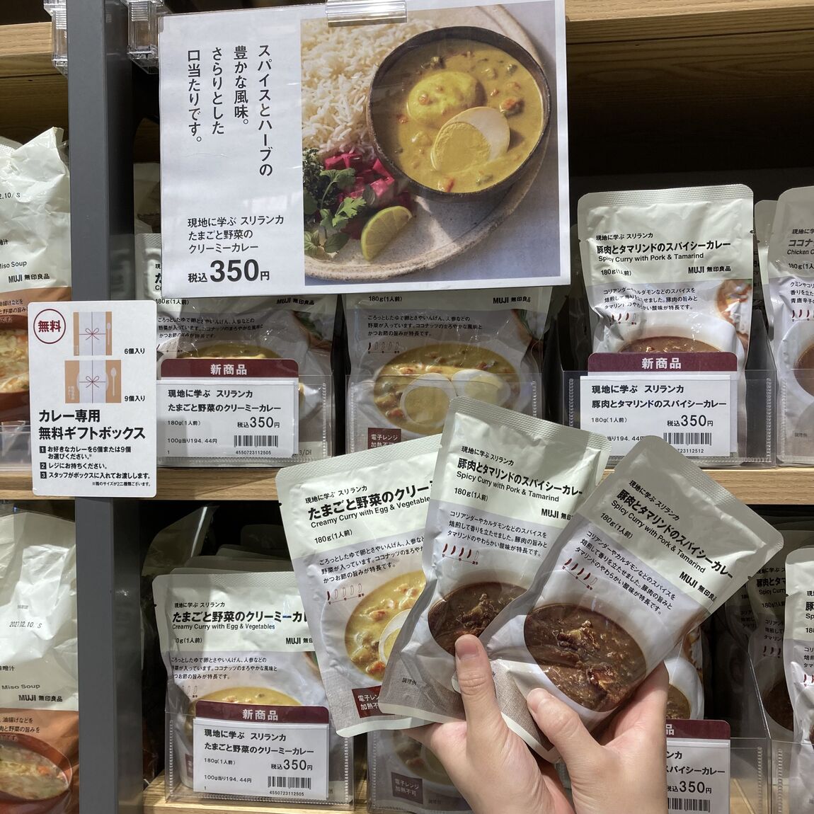【500名鉄一宮】スリランカカレー