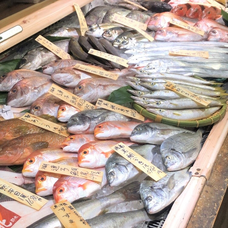 【堺北花田】今日のおすすめは『かます』と『まとうだい』｜鮮魚売場から