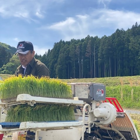 【堺北花田】豊かな自然が育む、おいしいお米