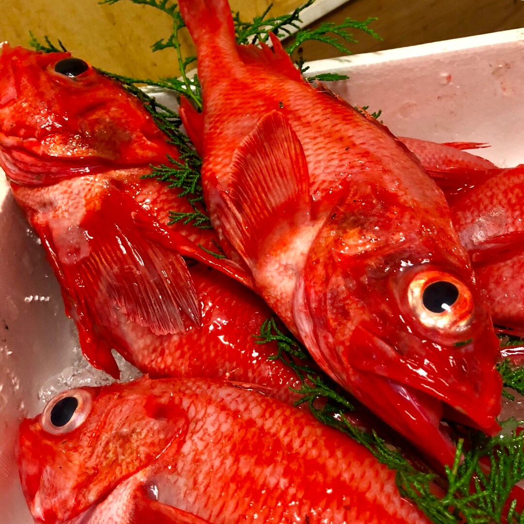 キービジュアル画像：北海道産『きんき』。お母さんに、おいしい魚料理はいかがですか
