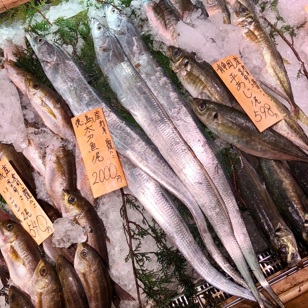 キービジュアル画像：刀のように銀色に輝く、徳島産『太刀魚』はいかがですか