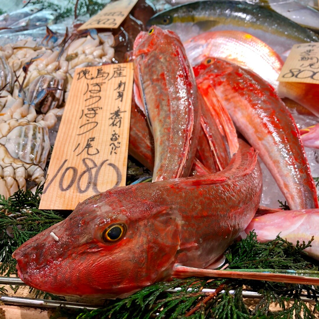 キービジュアル画像：もちっとした食感がたまらない！ 徳島県産『ほうぼう』が鮮魚売場に届きました