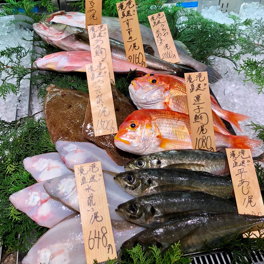キービジュアル画像：鳥取県・境港から朝獲れ鮮魚が届きました