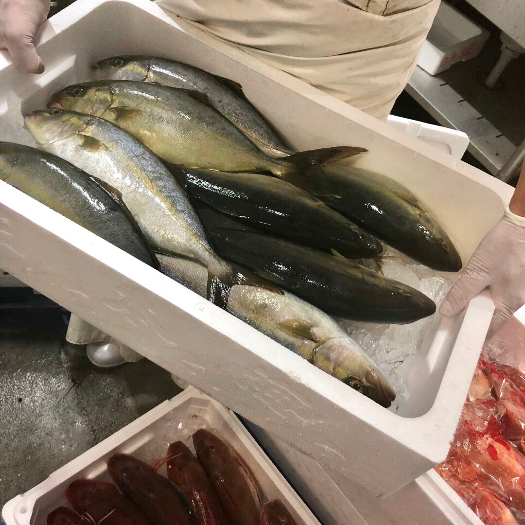 キービジュアル画像：秋のはじまり。身が締まっていて食感の良いかんぱちがおすすめです