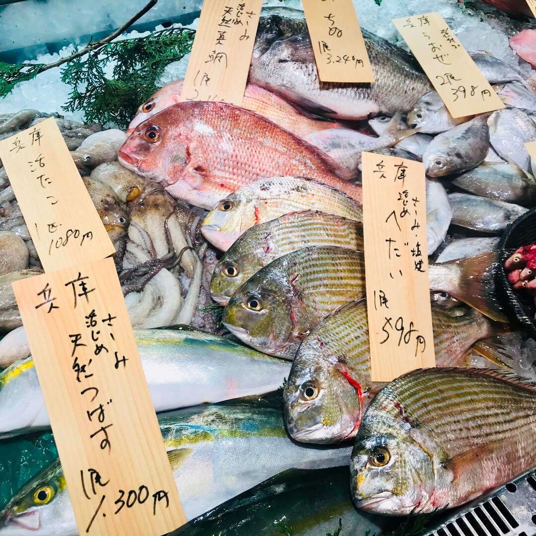 キービジュアル画像：兵庫の朝獲れ鮮魚が、よりどりみどりですよ！