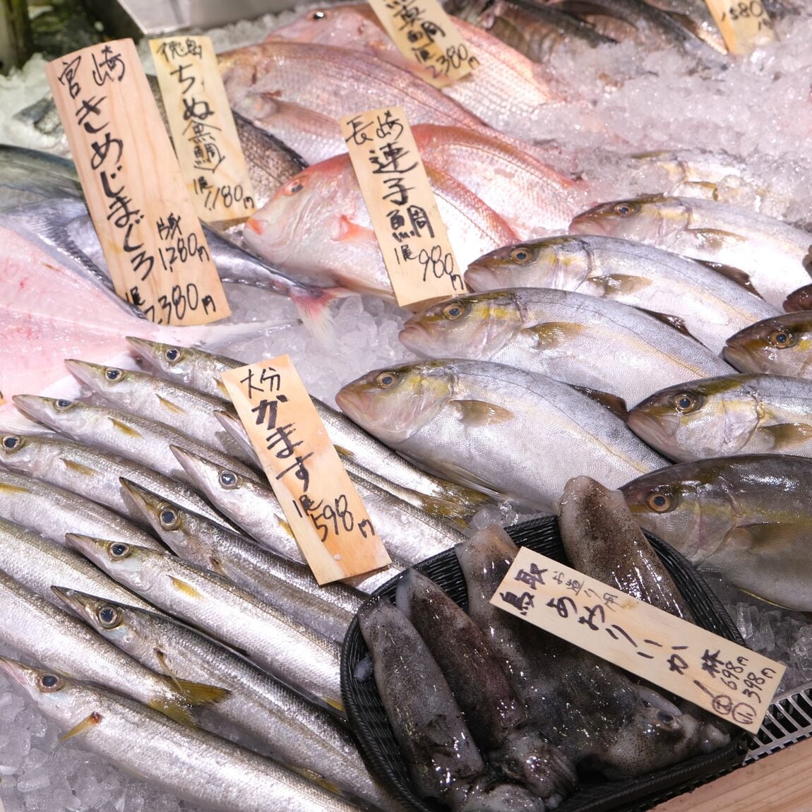 【堺北花田】今日のおすすめは『生さんま』｜鮮魚売場から_36NZH7