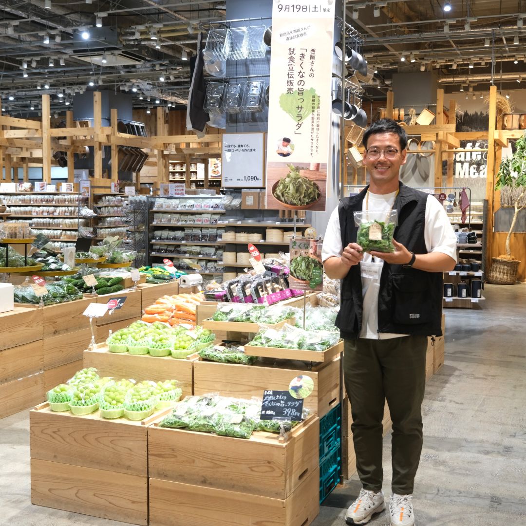 【堺北花田】『西阪さんのきくなの旨っサラダ』試食販売します｜青果売場から