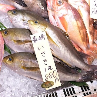 【堺北花田】今日のおすすめは『いさき』｜鮮魚売場から