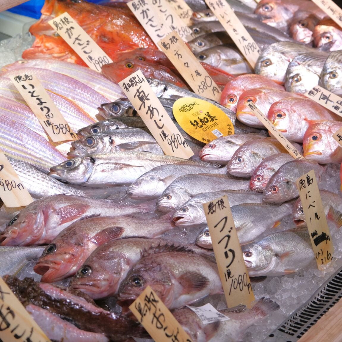 【堺北花田】今日のおすすめは『のどぐろ』お刺身｜鮮魚売場から
