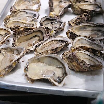 【堺北花田】今日のおすすめは『殻付き生牡蠣 宮島』｜鮮魚売場から