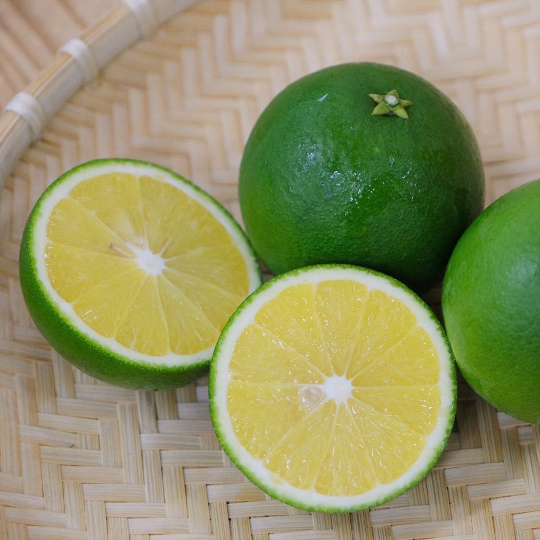 【堺北花田】吉原さんのかぼすが入荷しました｜青果売場から