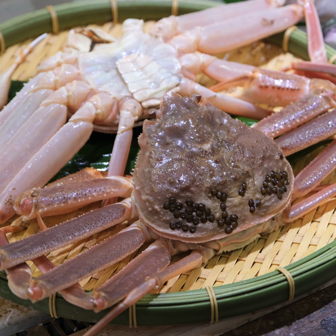 【堺北花田】今日のおすすめは『松葉がに』『勢子がに』｜鮮魚売場から