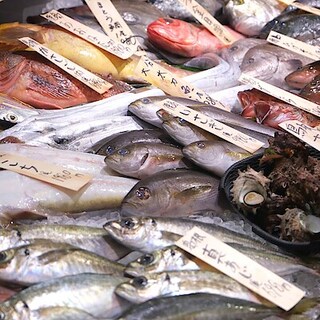 【堺北花田】今日のおすすめは『真あじ』｜鮮魚売場から