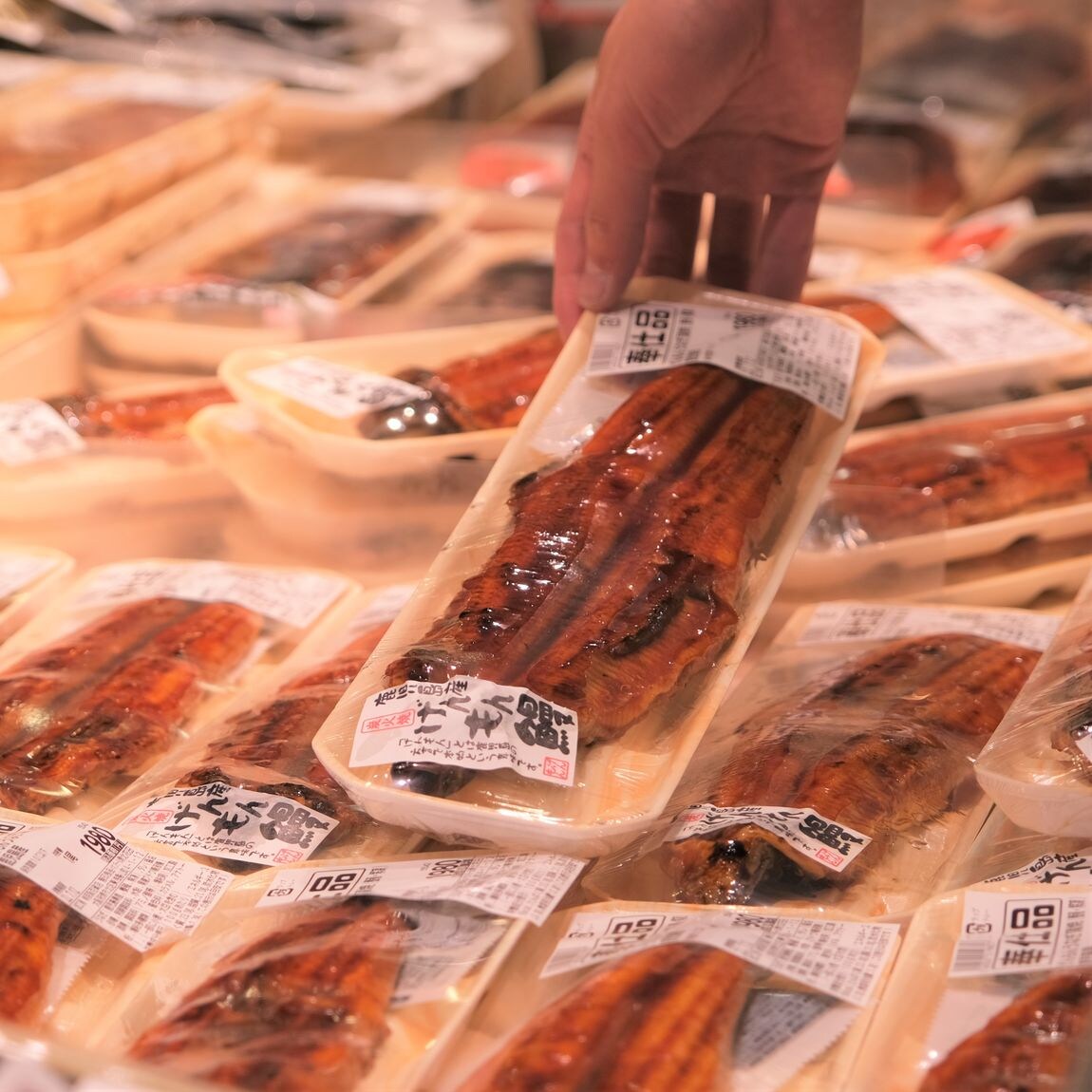 【堺北花田】うなぎを食べて元気に過ごそう