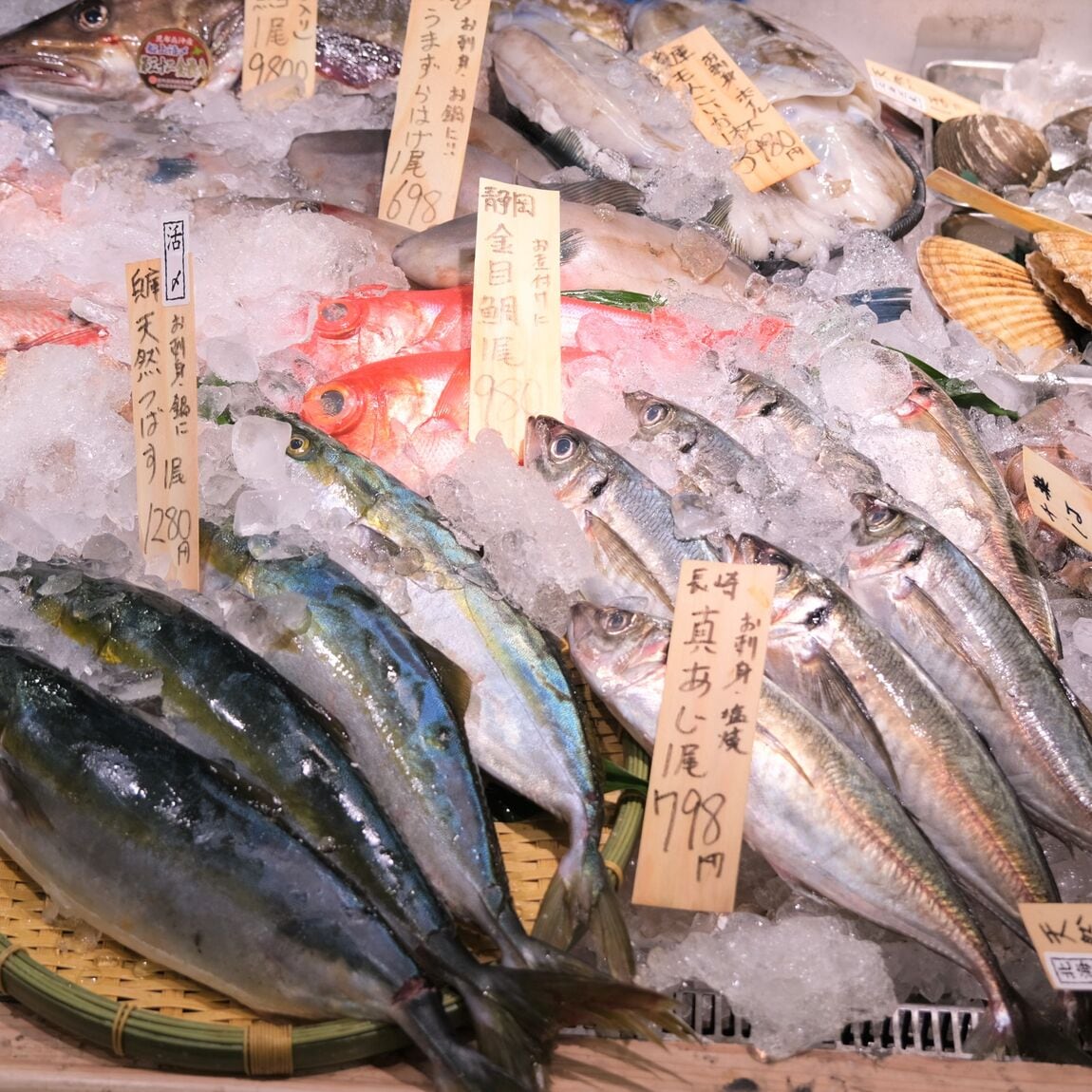【堺北花田】今日のおすすめは『つばす』｜鮮魚売場から