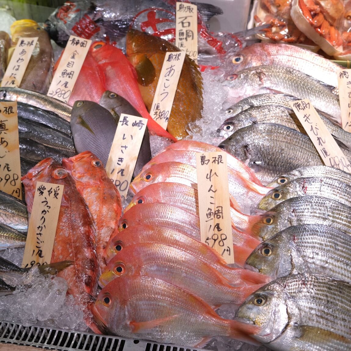 【堺北花田】今日のおすすめは『太刀魚』｜鮮魚売場から