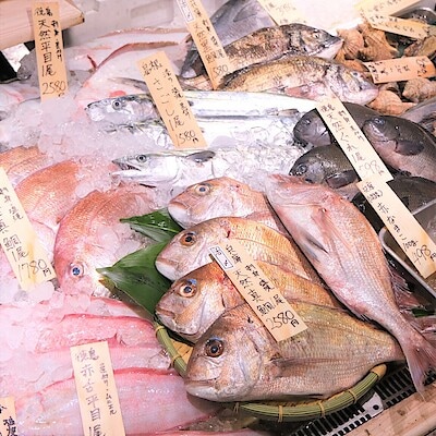 【堺北花田】今日のおすすめは『天然真鯛』｜鮮魚売場から