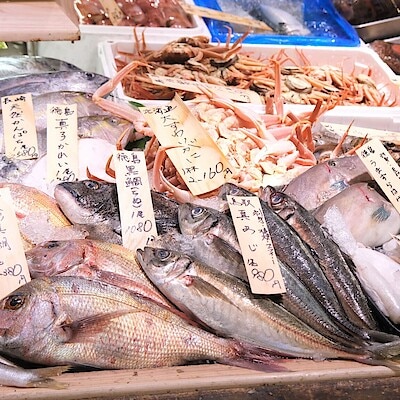 【堺北花田】今日のおすすめは『大ずわいがに』｜鮮魚売場から