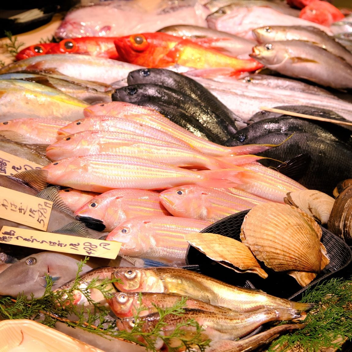 【堺北花田】土曜は魚の日｜鮮魚売場から