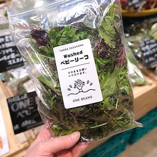 【堺北花田】ONE BEANSさんのベビーリーフが入荷しました｜青果売場から