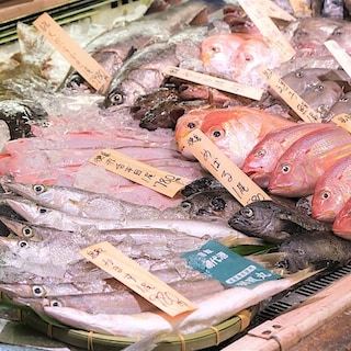 【堺北花田】今日のおすすめは『かます』｜鮮魚売場から