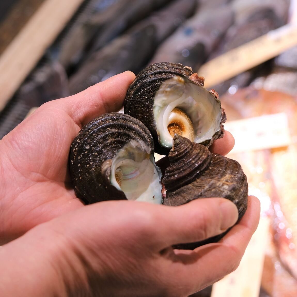 【堺北花田】今日のおすすめは『さざえ』｜鮮魚売場から