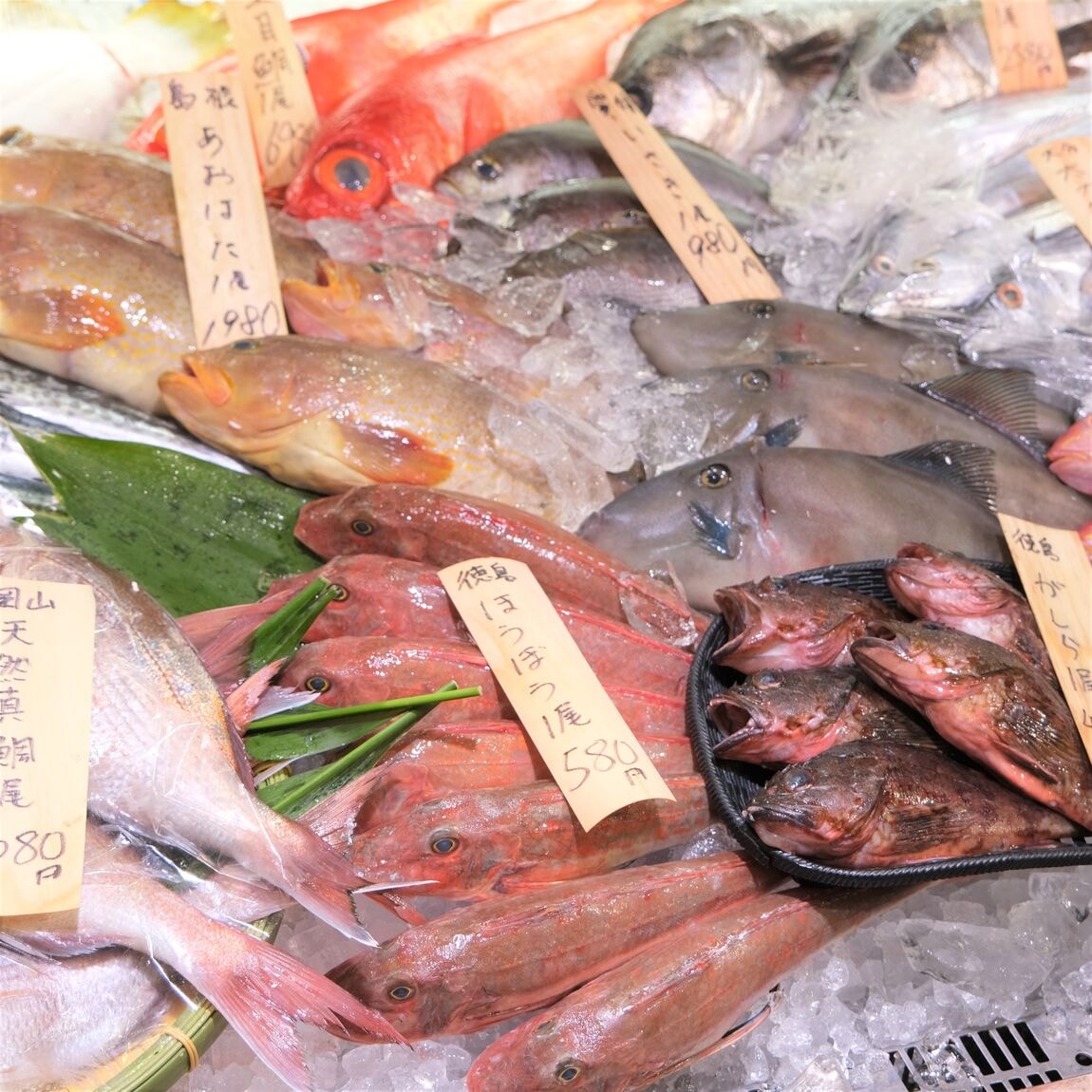 【堺北花田】今日のおすすめは『赤かれい』『えてかれい』｜鮮魚売場から