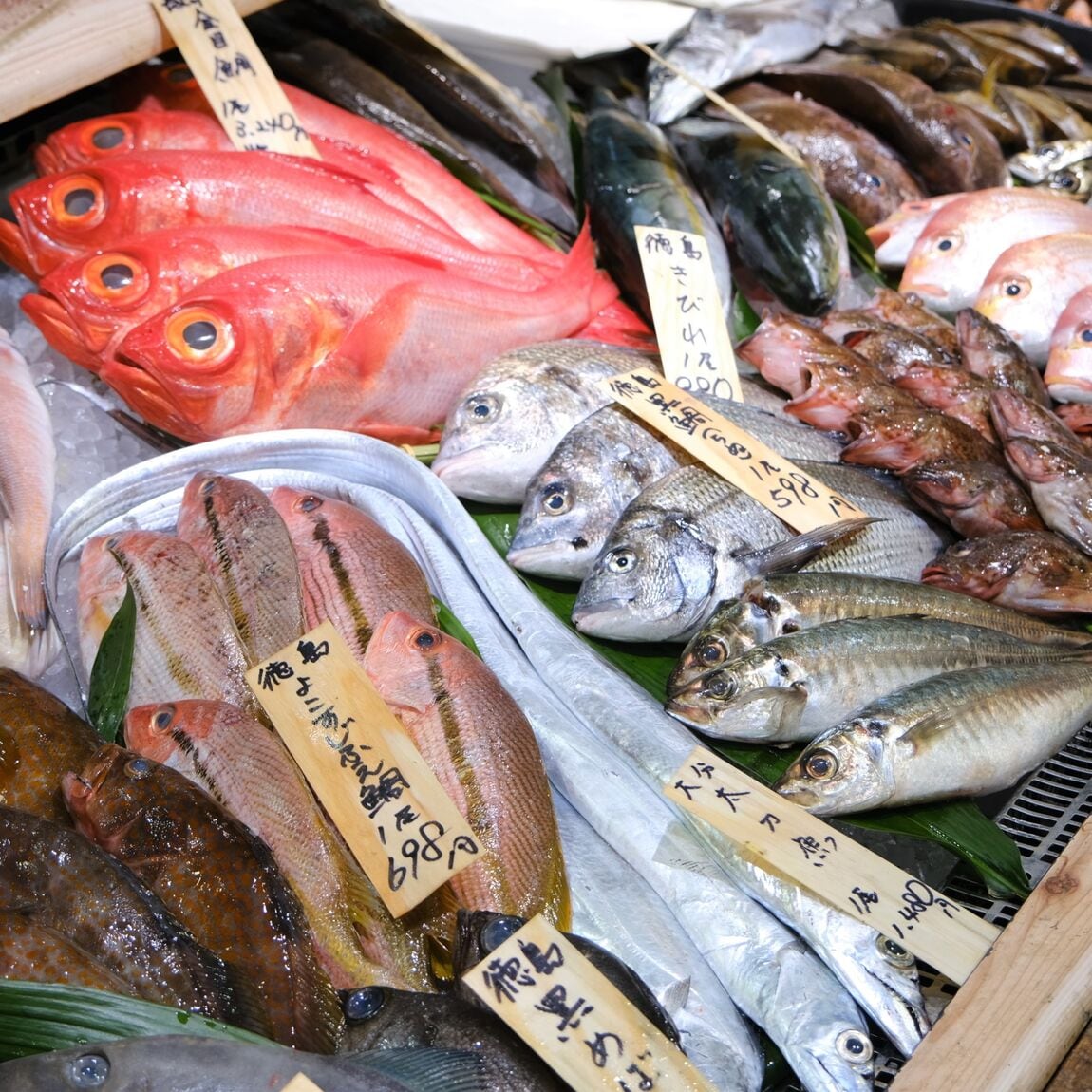 【堺北花田】今日のおすすめは甘鯛｜鮮魚売場から