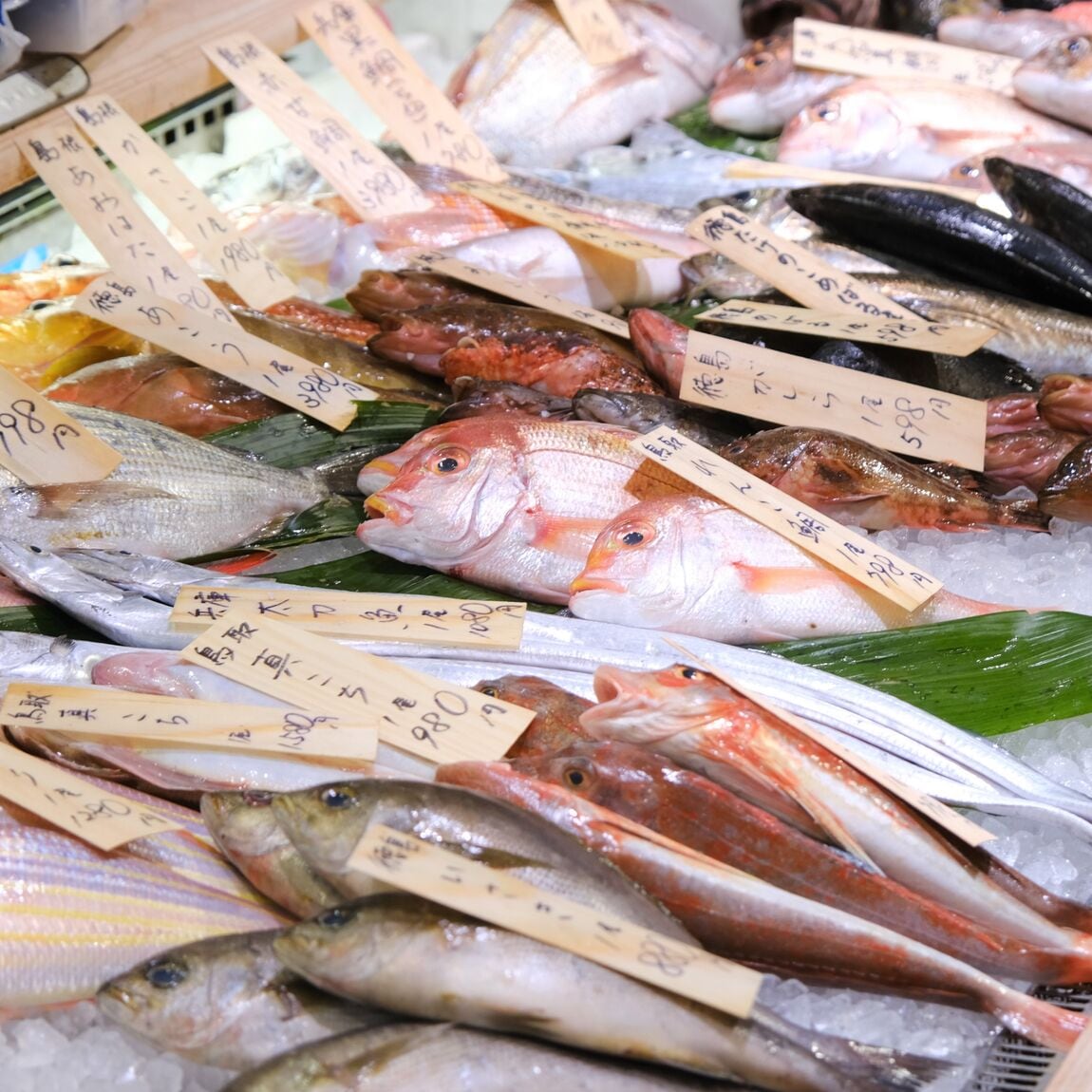 【堺北花田】今日のおすすめ『あゆ』｜鮮魚売場から