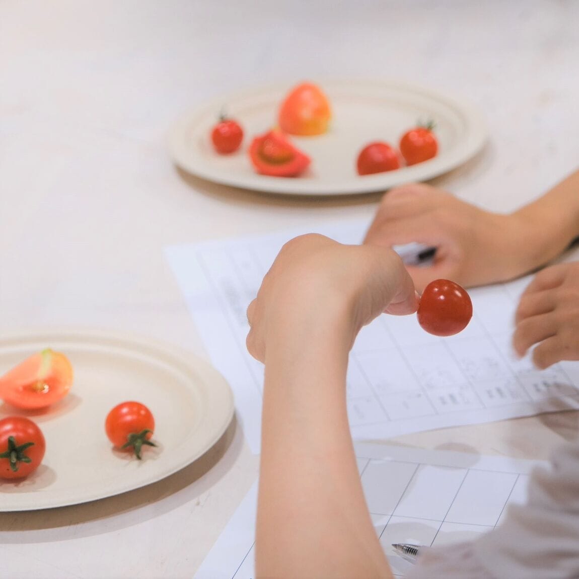 【堺北花田】野菜のトマトを食べくらべ｜イベントレポート