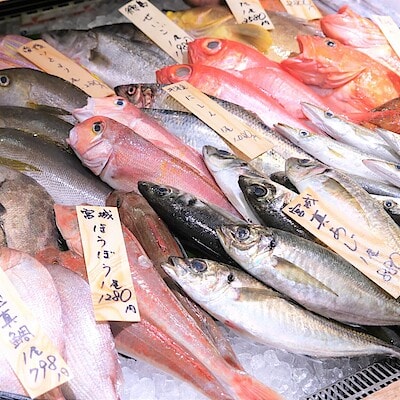 【堺北花田】今日のおすすめは『真あじ』と『岩かき』｜鮮魚売場から