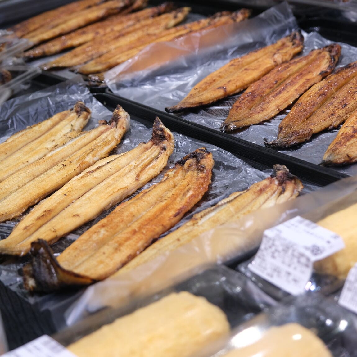 【堺北花田】今日は土用の丑の日｜鮮魚売場から_TXd2Lp