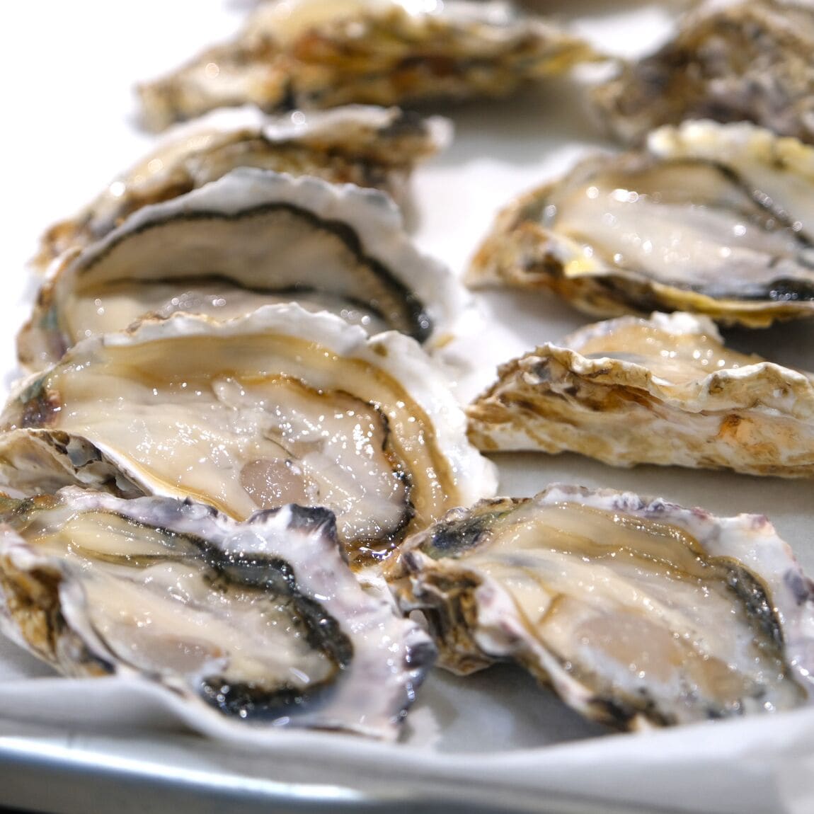 【堺北花田】かなわの『殻付牡蠣 先端』販売中です