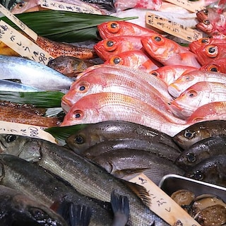 【堺北花田】今日のおすすめは『天然真鯛』｜鮮魚売場から