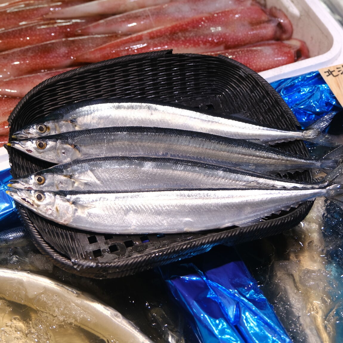 【堺北花田】今日のおすすめは『新物生さんま』｜鮮魚売場から
