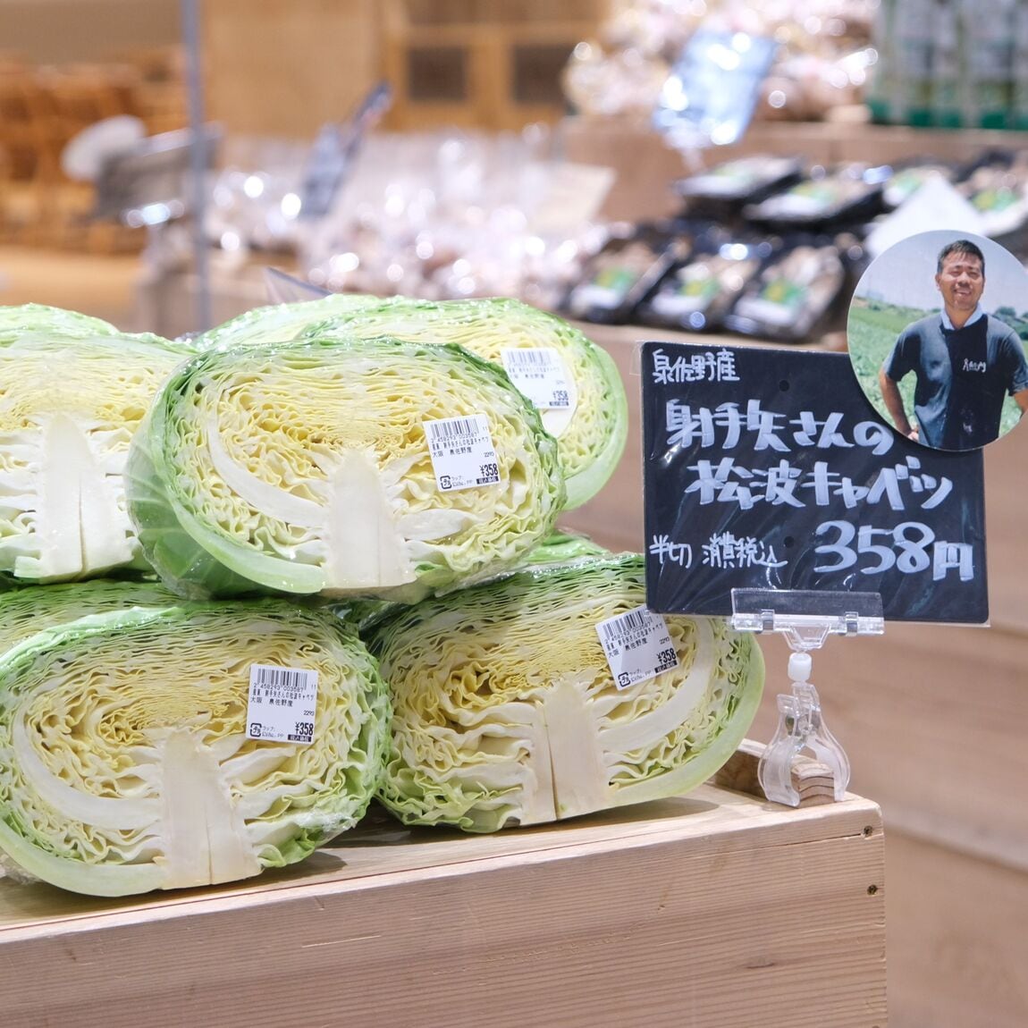 【堺北花田】射手矢さんの松波キャベツ入荷しています｜青果売場から