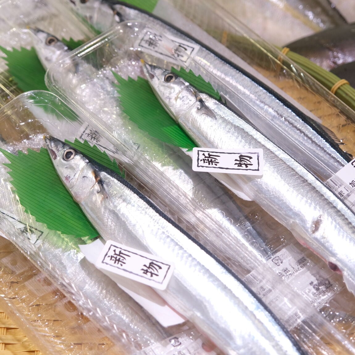 【堺北花田】今日のおすすめは『』｜鮮魚売場から